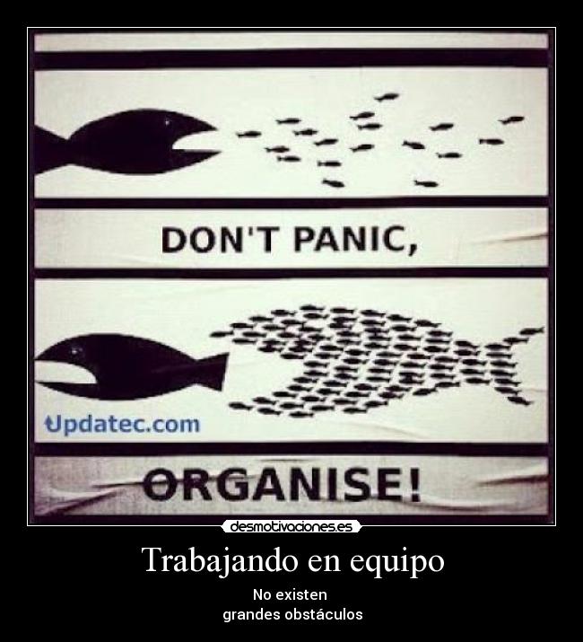 Trabajando en equipo - No existen
grandes obstáculos