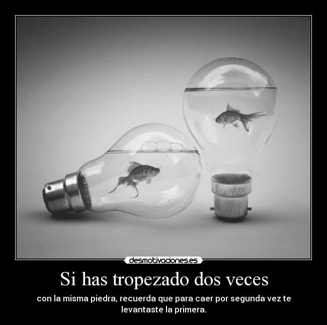 Si has tropezado dos veces - con la misma piedra, recuerda que para caer por segunda vez te
levantaste la primera.