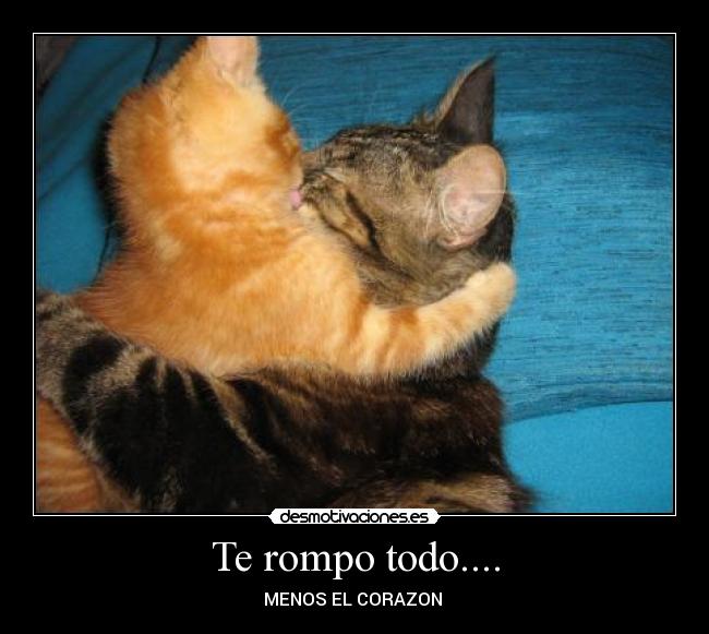 Te rompo todo.... -