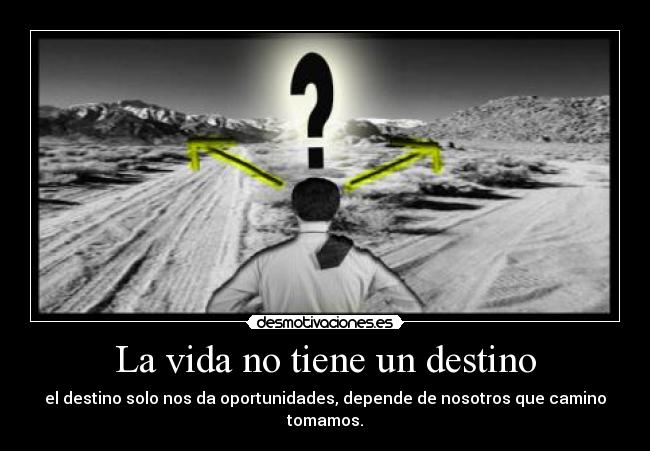 carteles vida destino desmotivaciones