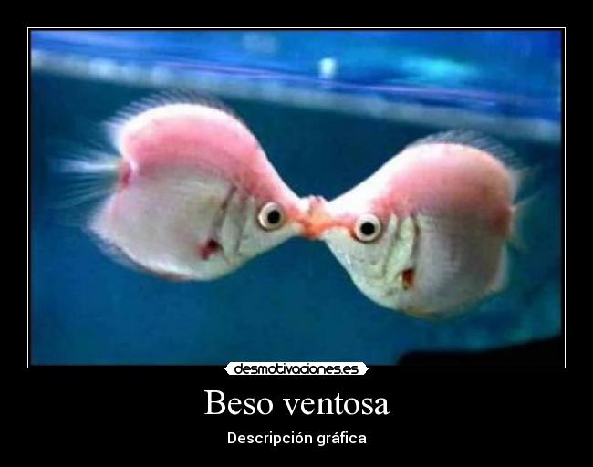 Beso ventosa - Descripción gráfica
