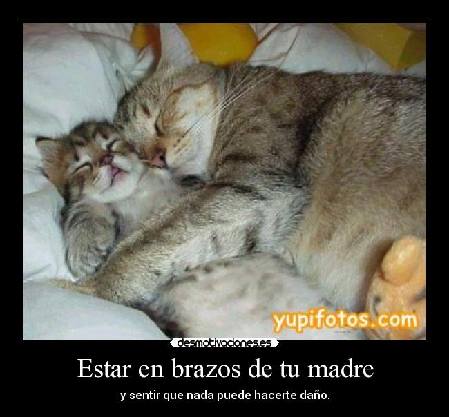 Estar en brazos de tu madre - 