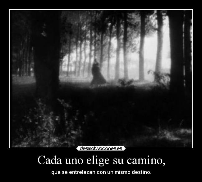 Cada uno elige su camino, -