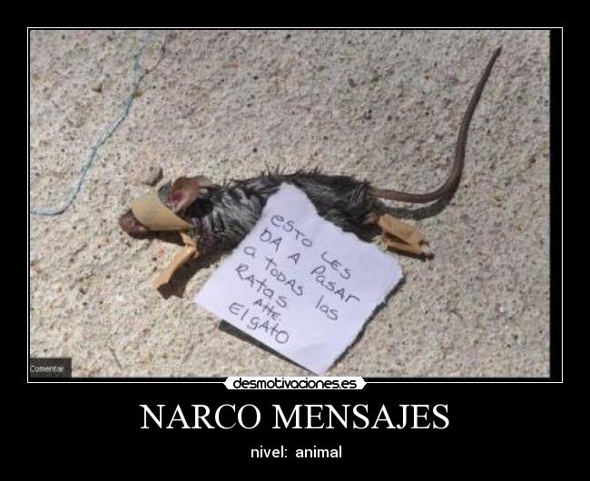 NARCO MENSAJES - nivel: animal