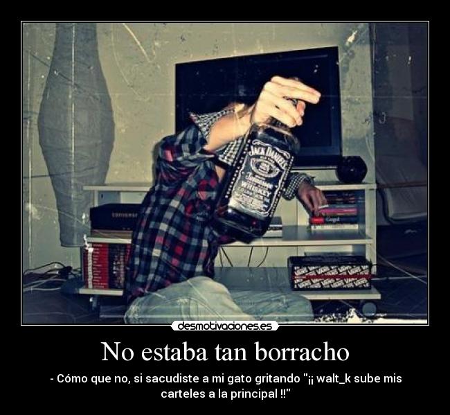 No estaba tan borracho - - Cómo que no, si sacudiste a mi gato gritando ¡¡ walt_k sube mis
carteles a la principal !!