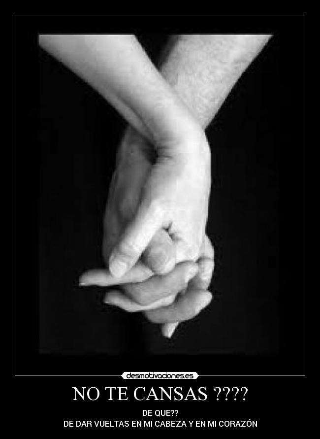 NO TE CANSAS ???? - 