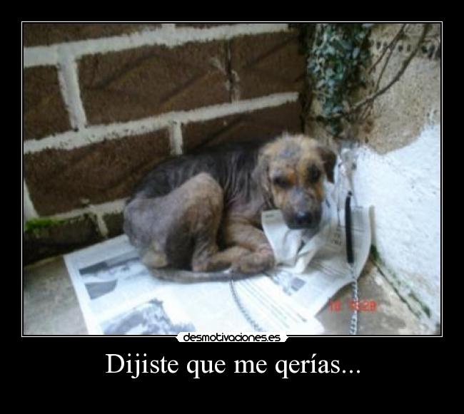 Dijiste que me qerías... -