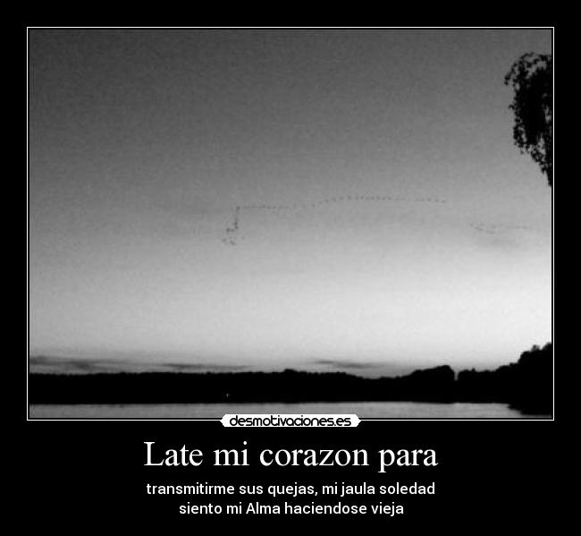 carteles corazon porta preso soledad ely bauer desmotivaciones