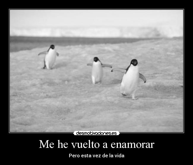 Me he vuelto a enamorar -