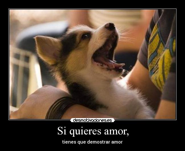 Si quieres amor, - 