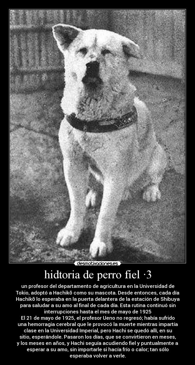 hidtoria de perro fiel ·3 -