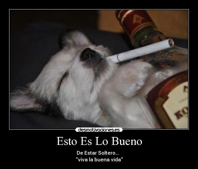 Esto Es Lo Bueno - De Estar Soltero...
viva la buena vida