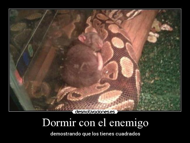 Dormir con el enemigo - 