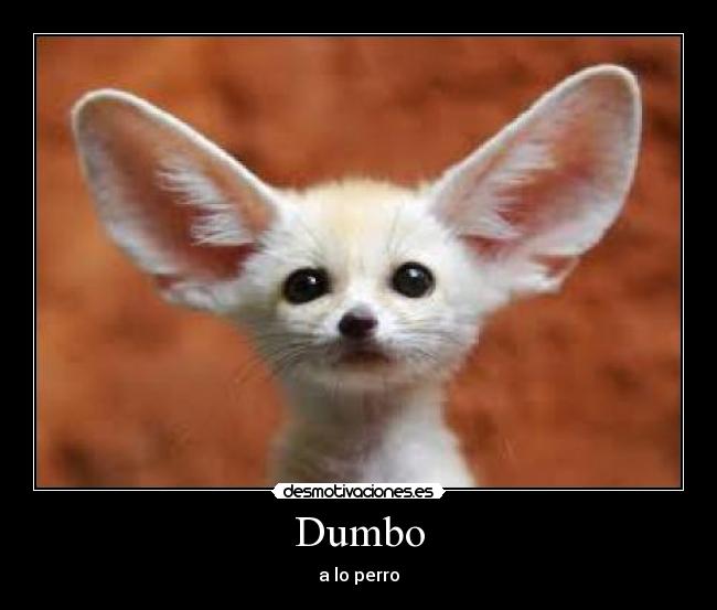 Dumbo -