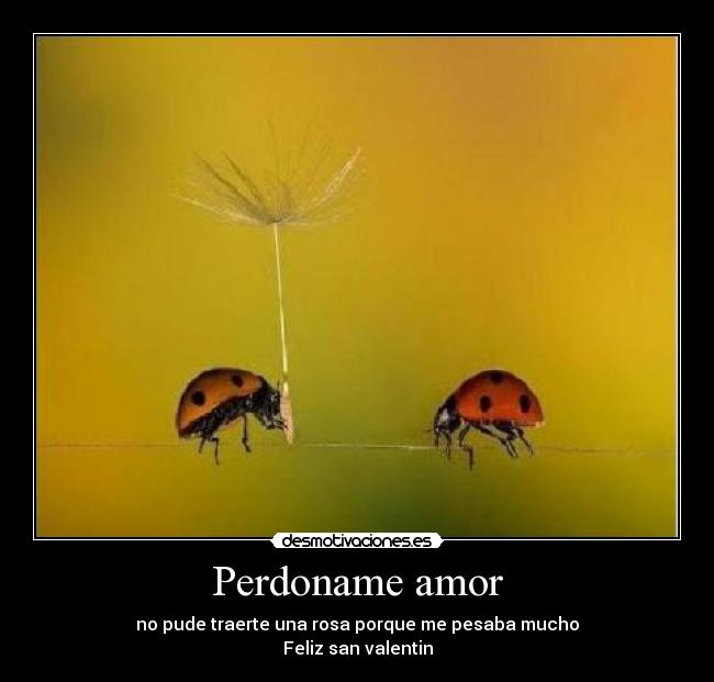Perdoname amor - no pude traerte una rosa porque me pesaba mucho
Feliz san valentin