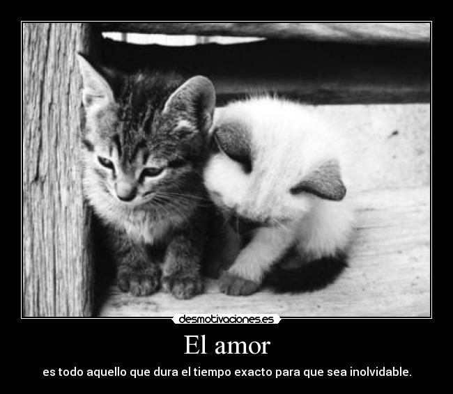 El amor - es todo aquello que dura el tiempo exacto para que sea inolvidable.