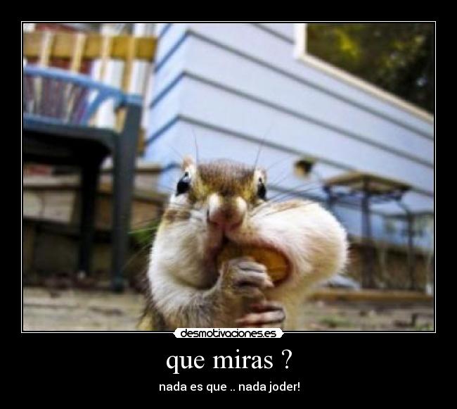 que miras ? - 