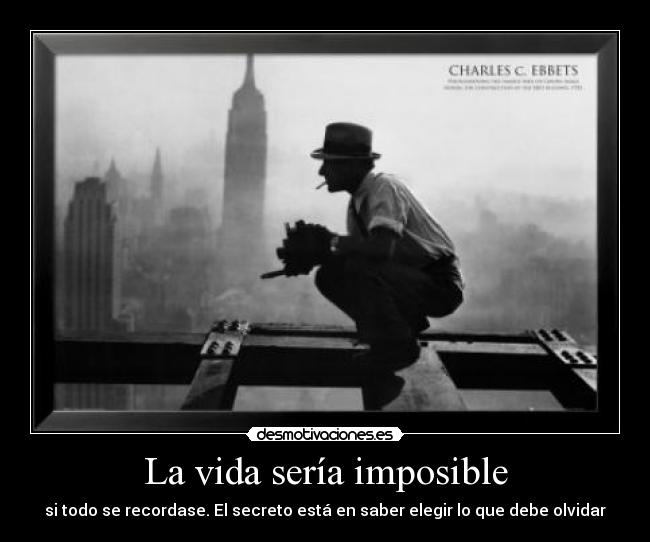 carteles vida imposible desmotivaciones