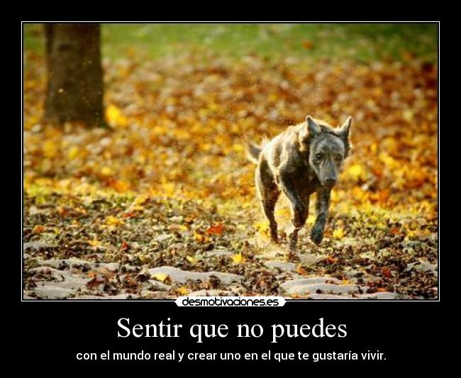 Sentir que no puedes - 
