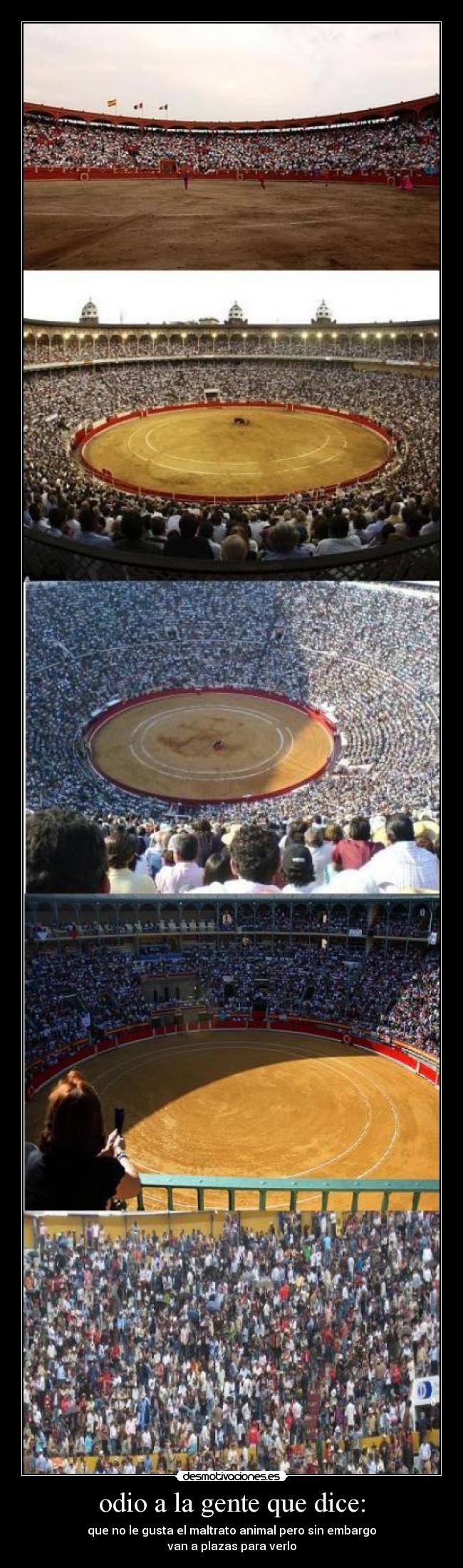 odio a la gente que dice: -