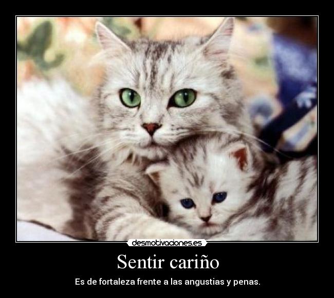 Sentir cariño - 