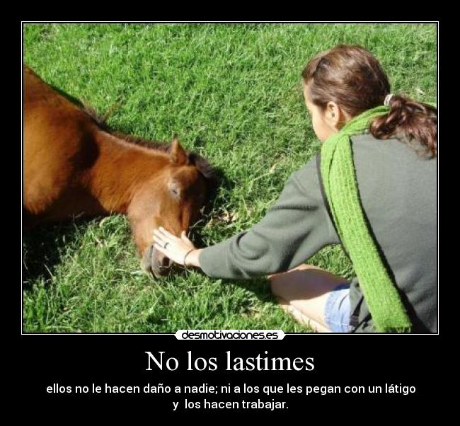 No los lastimes - 