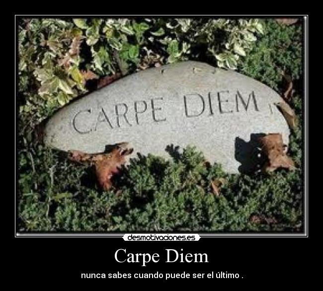 Carpe Diem - nunca sabes cuando puede ser el último .