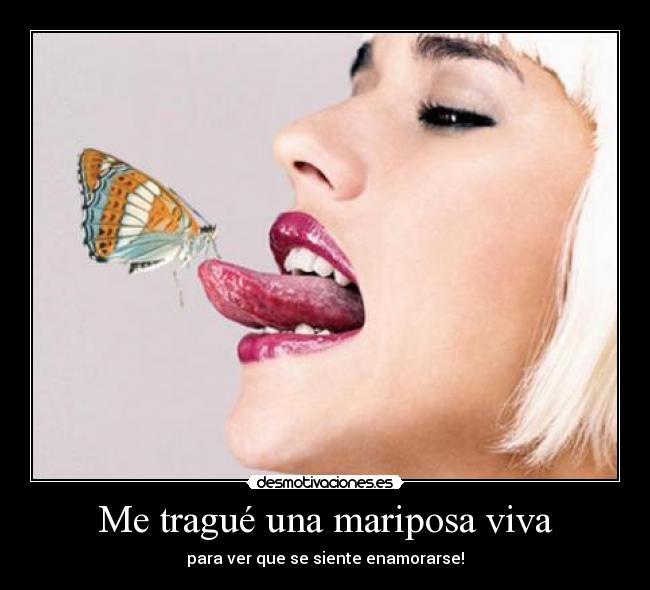 Me tragué una mariposa viva -
