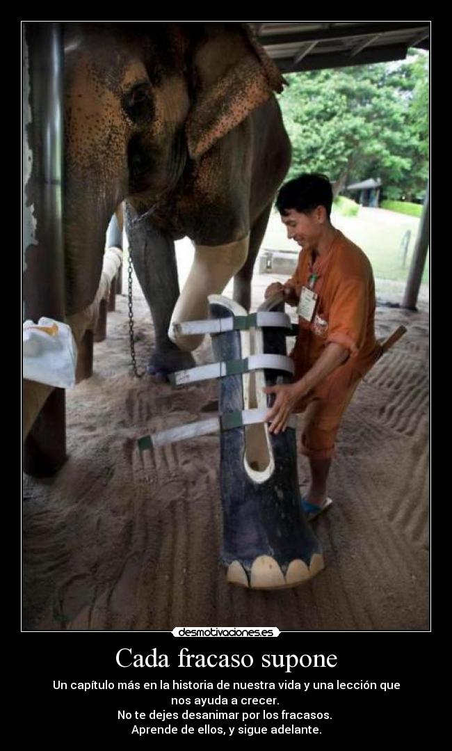 Cada fracaso supone - 