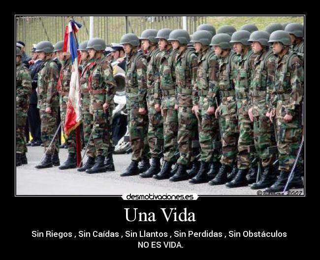 Una Vida - Sin Riegos , Sin Caídas , Sin Llantos , Sin Perdidas , Sin Obstáculos
NO ES VIDA.