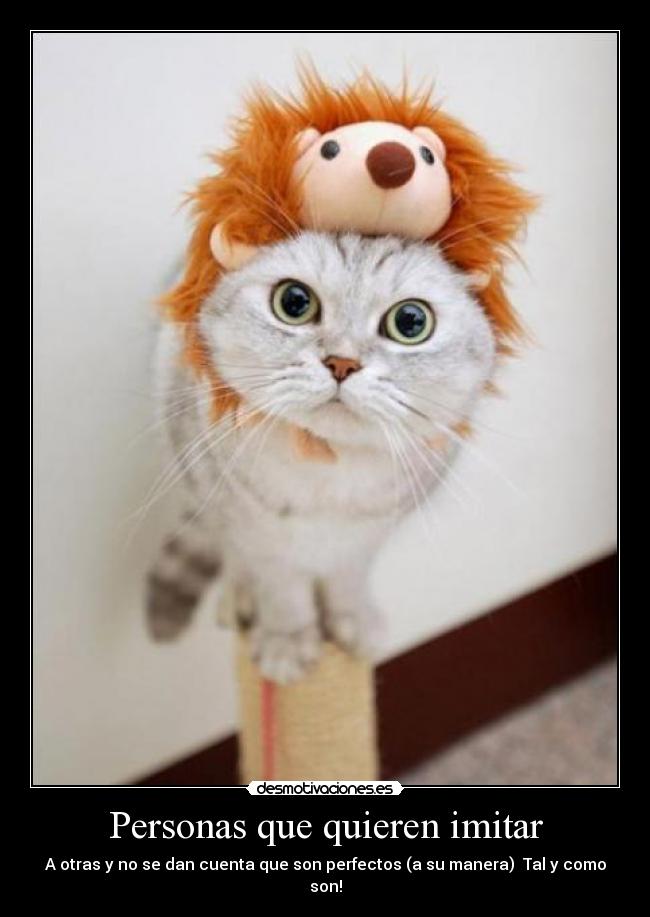 Personas que quieren imitar - A otras y no se dan cuenta que son perfectos (a su manera) Tal y como son!