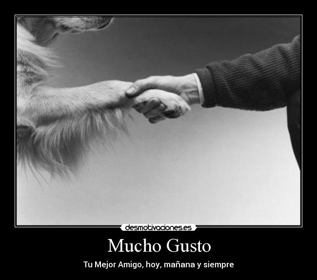 Mucho Gusto - Tu Mejor Amigo, hoy, mañana y siempre