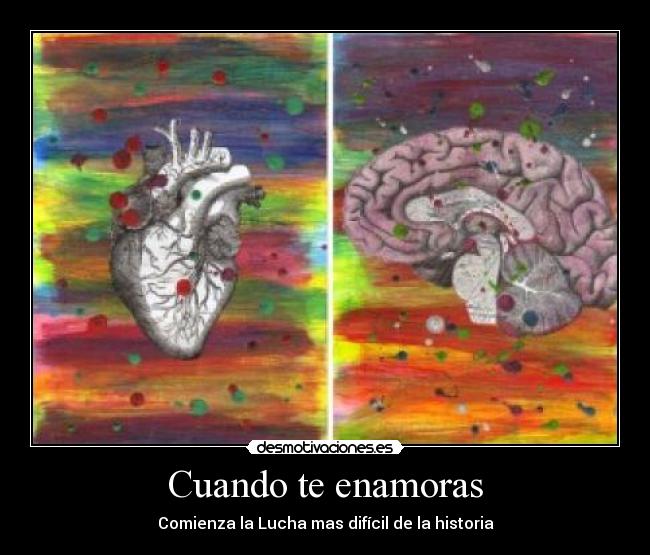 Cuando te enamoras - 