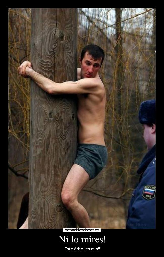 Ni lo mires! - Este árbol es mio!!