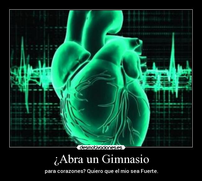 ¿Abra un Gimnasio -