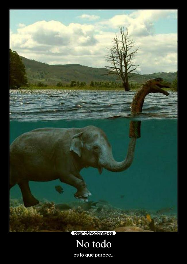 No todo - es lo que parece...