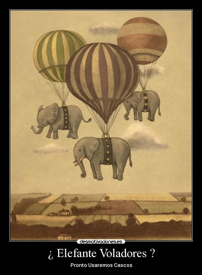 ¿ Elefante Voladores ? - Pronto Usaremos Cascos