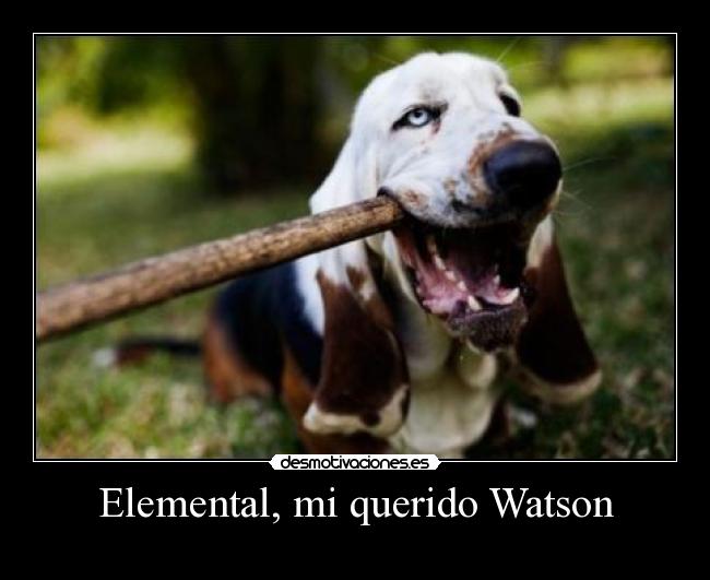 carteles perro criedo desmotivaciones