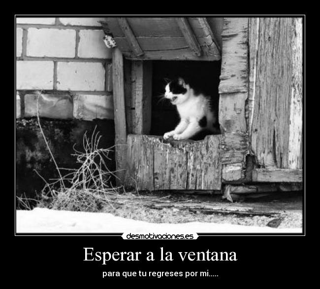 Esperar a la ventana - para que tu regreses por mi.....