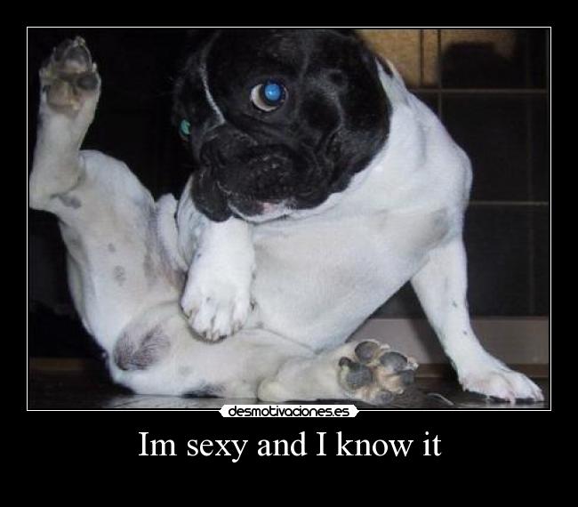 Im sexy and I know it -