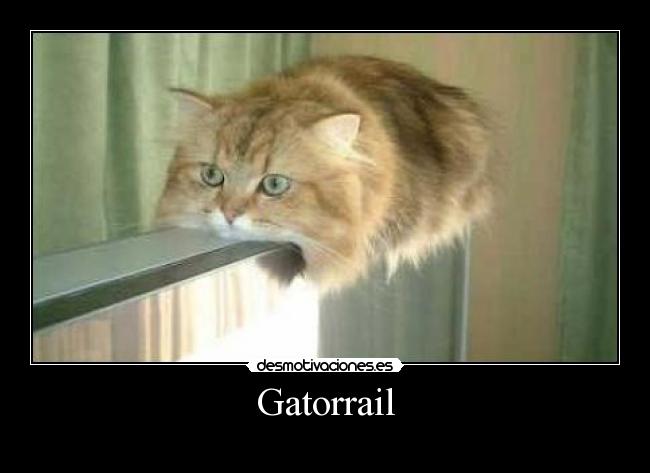 Gatorrail -