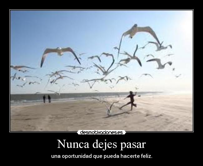 Nunca dejes pasar -