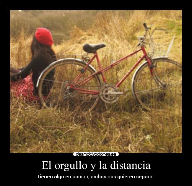 El orgullo y la distancia - 