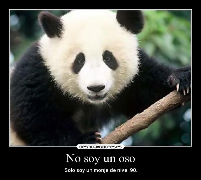 No soy un oso -