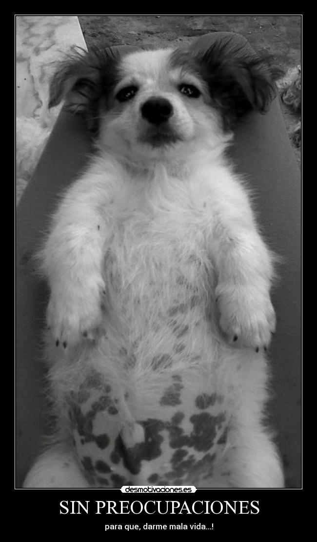 SIN PREOCUPACIONES -