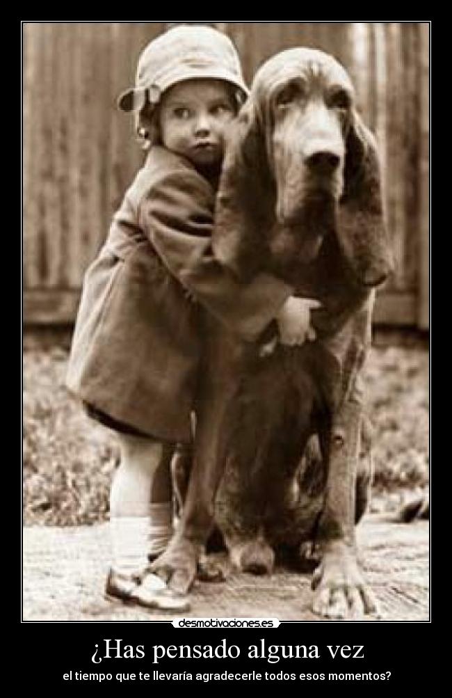 ¿Has pensado alguna vez -