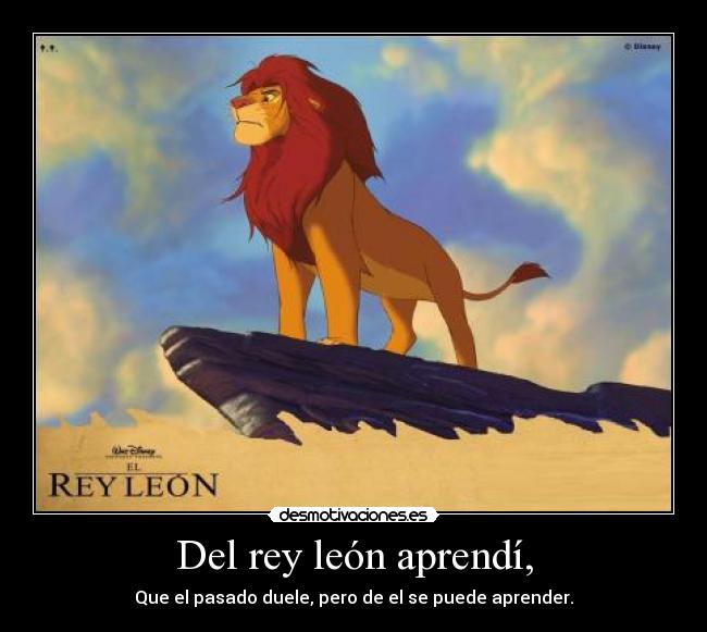 Del rey león aprendí, -