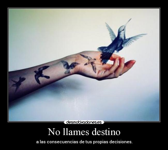 No llames destino - 