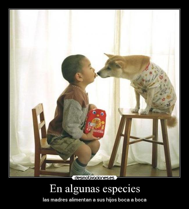 En algunas especies - 