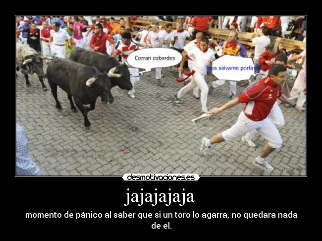 jajajajaja - momento de pánico al saber que si un toro lo agarra, no quedara nada de el.